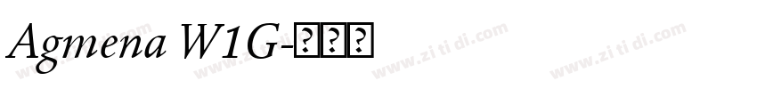 Agmena W1G字体转换